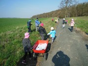 Ukliďme Česko - ukliďme cestu do lesa